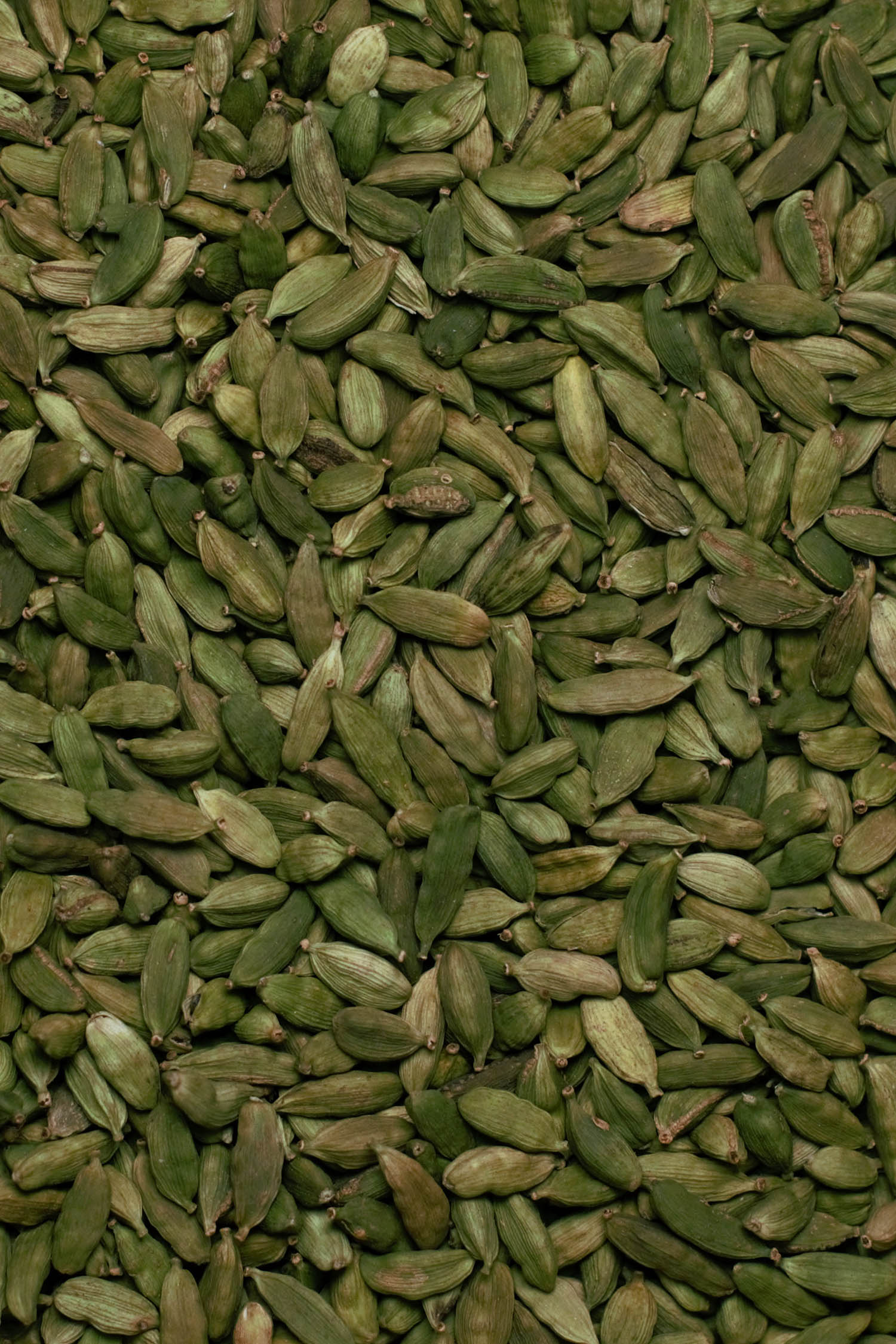 Kardamom